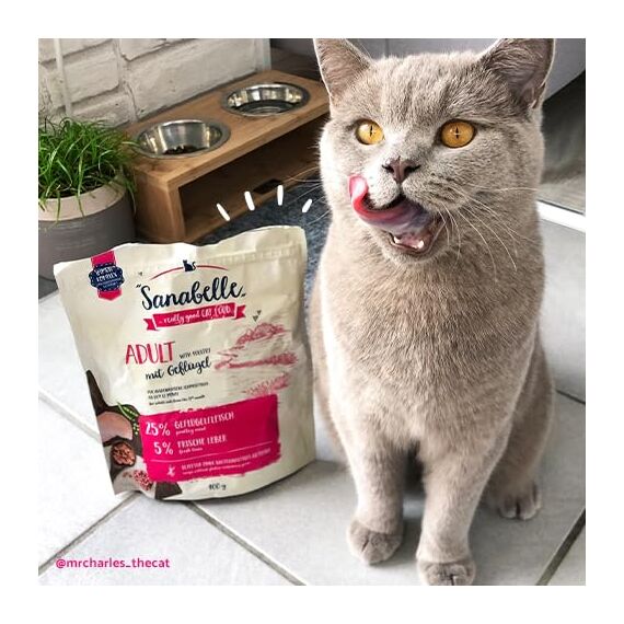 Sanabelle Adult mit Geflügel | Katzentrockenfutter für ausgewachsene Katzen (ab dem 12. Monat) | 1 x 10 kg