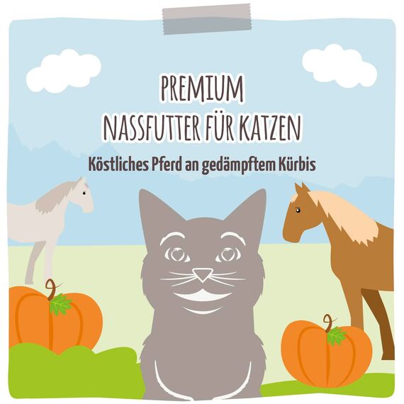 MjAMjAM - Premium Nassfutter für Katzen - Quetschie - köstliches Pferd an gedämpftem Kürbis, 12er Pack (12 x 125 g), getreidefrei mit extra viel Fleisch, ‎1101712