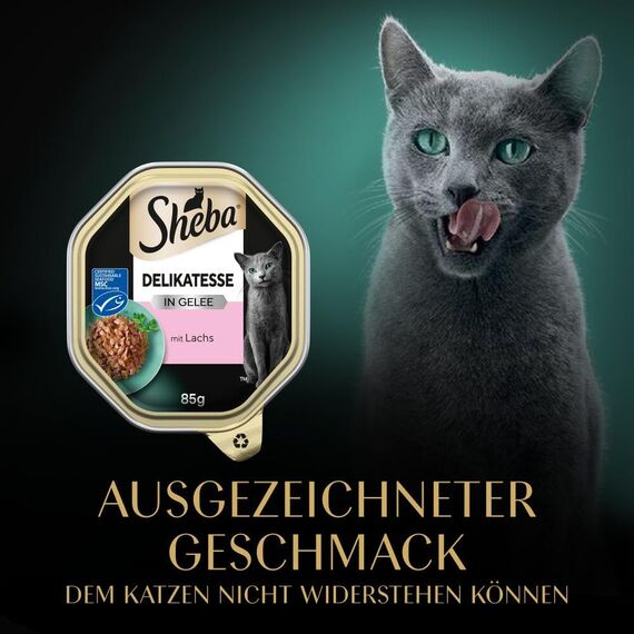 Sheba Schale Nassfutter für Katzen Delikatesse in Gelee mit Lachs 2 x 11 x 85g