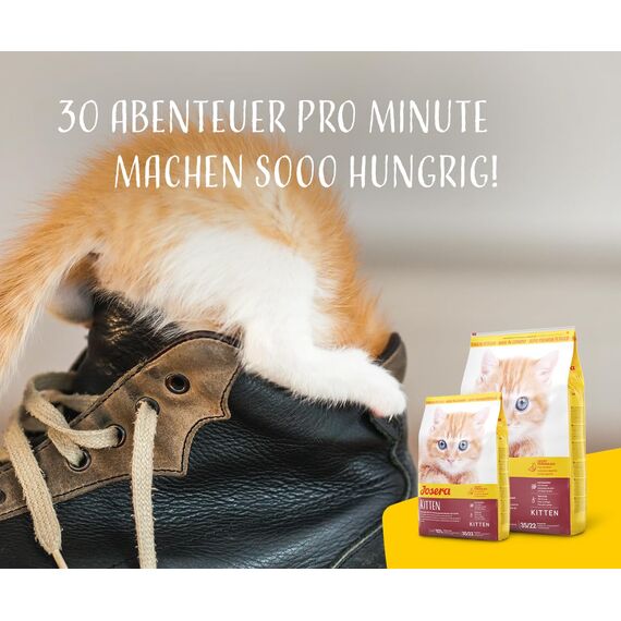 JOSERA Kitten (1 x 10 kg) | Kitten | Premium Trockenfutter für heranwachsende Katzen & Katzen-Mütter in der Säugezeit | Lachs & Geflügel | leicht verdaulich | weizefrei | Katzenfutter | 1er Pack