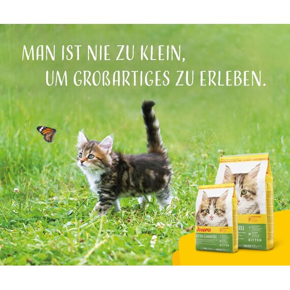 JOSERA Kitten grainfree (1 x 2 kg) | Kitten | Premium Trockenfutter für heranwachsende Katzen sowie Katzen-Mütter in der Säugezeit | Geflügel & Lachsöl | getreidefrei | Katzenfutter | 1er Pack