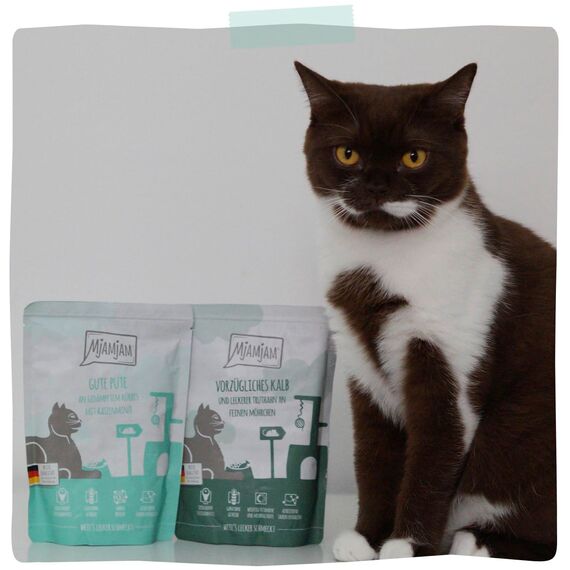 MjAMjAM - Premium Nassfutter für Katzen - gute Pute an gedämpftem Kürbis, 6er Pack (6 x 800 g), getreidefrei mit extra viel Fleisch