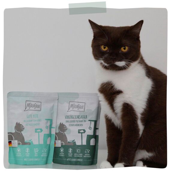 MjAMjAM - Premium Nassfutter für Katzen - Quetschie - vorzügliches Kalb & Truthahn an feinen Möhrchen, 12er Pack (12 x 125 g), getreidefrei mit extra viel Fleisch