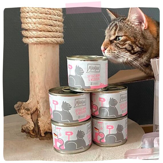 MjAMjAM - Premium Nassfutter für Katzen - saftiges Huhn und Wildlachs, 6er Pack (6 x 200 g), getreidefrei mit extra viel Fleisch