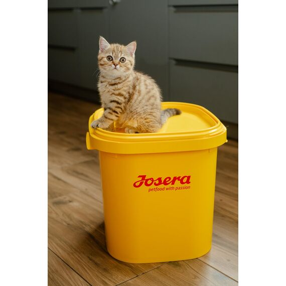 JOSERA Senior (1 x 2 kg) | Senior | Premium Trockenfutter für ältere Katzen oder Katzen mit Niereninsuffizienz | Geflügel & Reis | leicht verdaulich | getreidefrei | Katzenfutter | 1er Pack