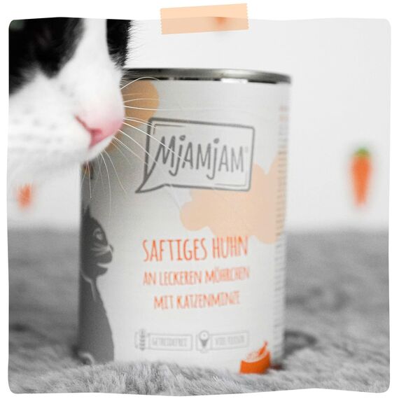 MjAMjAM - Premium Nassfutter für Katzen - Quetschie - saftiges Huhn an leckeren Möhrchen, 6er Pack (6 x 300 g), getreidefrei mit extra viel Fleisch