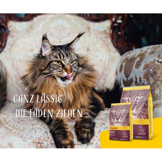 JOSERA Senior (1 x 2 kg) | Senior | Premium Trockenfutter für ältere Katzen oder Katzen mit Niereninsuffizienz | Geflügel & Reis | leicht verdaulich | getreidefrei | Katzenfutter | 1er Pack
