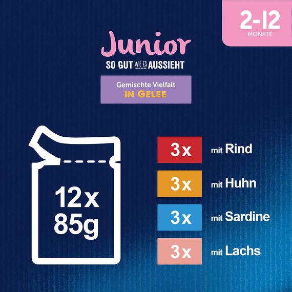 Felix So gut wie es aussieht Junior Kittenfutter nass in Gelee, Sorten-Mix, 6er Pack (6 x 12 Beutel à 85g)