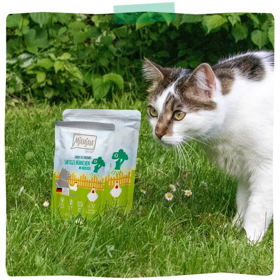 MjAMjAM - Premium Nassfutter für Katzen - saftiges Hühnchen an Brokkoli, 6er Pack (6 x 800 g), getreidefrei mit extra viel Fleisch