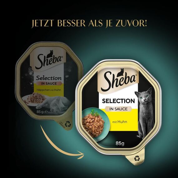 SHEBA Schale Nassfutter für Katzen Selection in Sauce Häppchen mit Huhn 2 x 11 x 85g