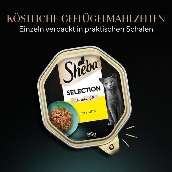 SHEBA Schale Nassfutter für Katzen Selection in Sauce Häppchen mit Huhn 2 x 11 x 85g