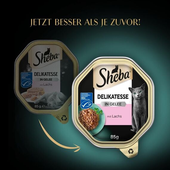 Sheba Schale Nassfutter für Katzen Delikatesse in Gelee mit Lachs 2 x 11 x 85g