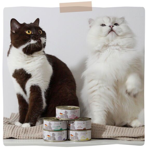 MjAMjAM - Premium Nassfutter für Katzen - DUO von leckerem Rind & guter Pute an gedämpftem Kürbis, 6er Pack (6 x 200 g), getreidefrei mit extra viel Fleisch