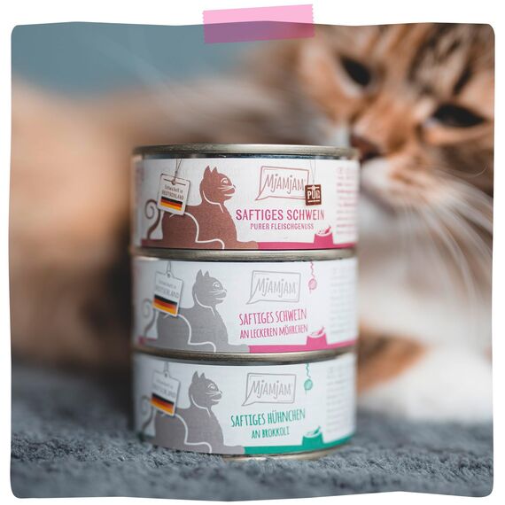 MjAMjAM - Premium Nassfutter für Katzen - saftiges Schwein an leckeren Möhrchen, 6er Pack (6 x 400 g), getreidefrei mit extra viel Fleisch