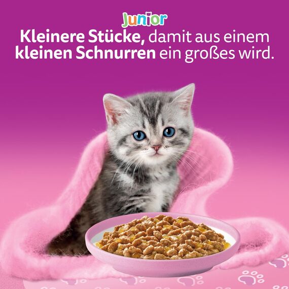 WHISKAS Junior Nassfutter in Gelee 84 x 85g Geflügel Auswahl