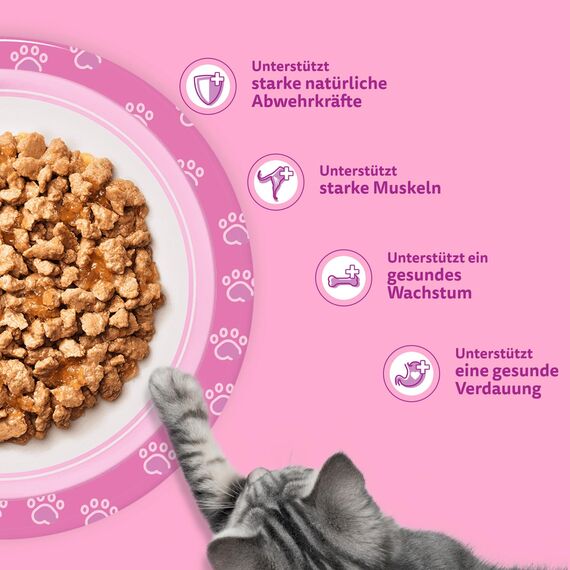 WHISKAS Junior Nassfutter in Gelee 84 x 85g Geflügel Auswahl