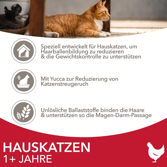 IAMS Indoor Katzenfutter trocken mit Huhn - Trockenfutter für Hauskatzen ab 1 Jahr, 3 kg