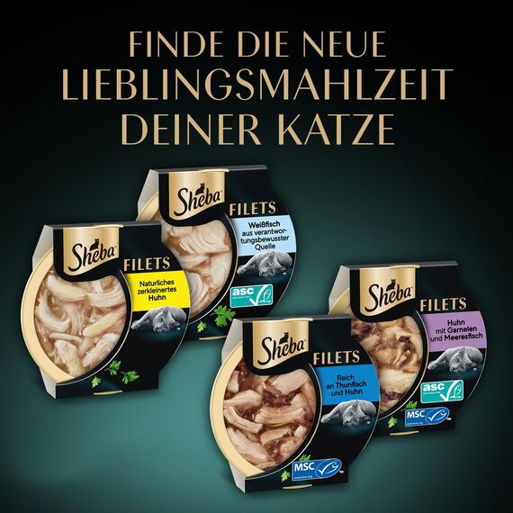 SHEBA Filets Adult Katzenfutter in Sauce mit Weißfisch 16 x 60g Schale