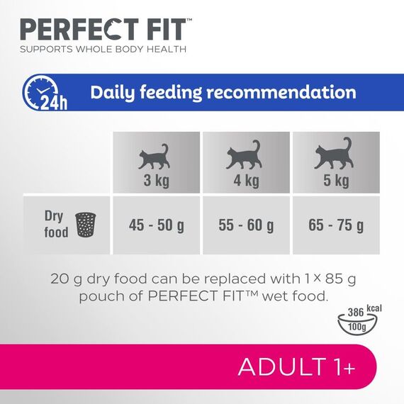 PERFECT FIT™ Katze Beutel Adult 1+ mit Lachs 3x2,8kg