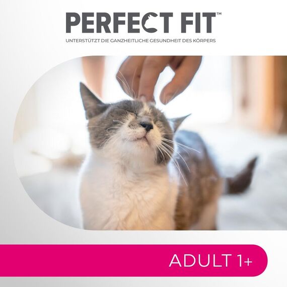PERFECT FIT Adult Trockenfutter für erwachsene Katzen ab 1 Jahr - Lachs, 7 kg (1 Beutel)