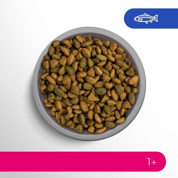 PERFECT FIT™ Katze Beutel Adult 1+ mit Lachs 3x2,8kg