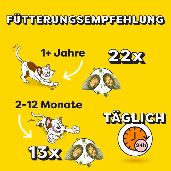 DREAMIES SHAKE UPS Multivitamins Geflügel Picknick, Katzenleckerlis im Portionsbeutel - 55g (6 Beutel)