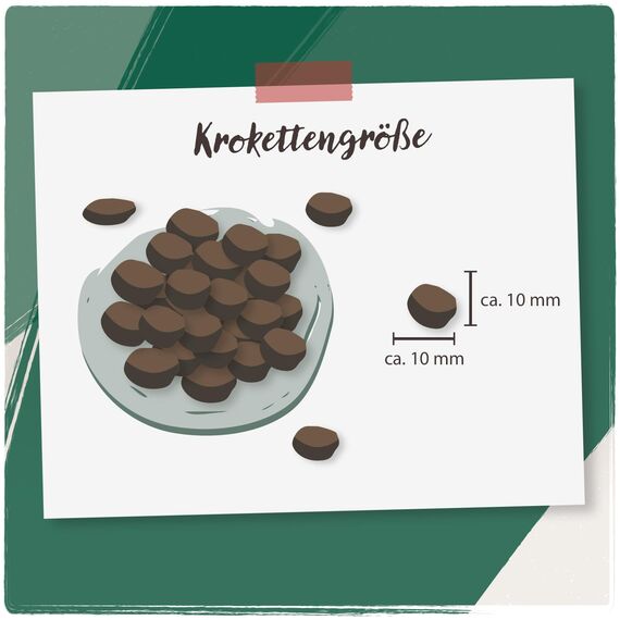 VenandiAnimal - Premium Trockenfutter für Katzen, Probierpaket 1, 6 x 0,3 kg (6er Pack), getreidefrei mit viel frischem Fleisch und Fisch