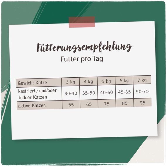 VenandiAnimal - Premium Trockenfutter für Katzen, Probierpaket 1, 6 x 0,3 kg (6er Pack), getreidefrei mit viel frischem Fleisch und Fisch