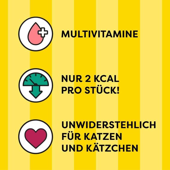DREAMIES SHAKE UPS Multivitamins Geflügel Picknick, Katzenleckerlis im Portionsbeutel - 55g (6 Beutel)