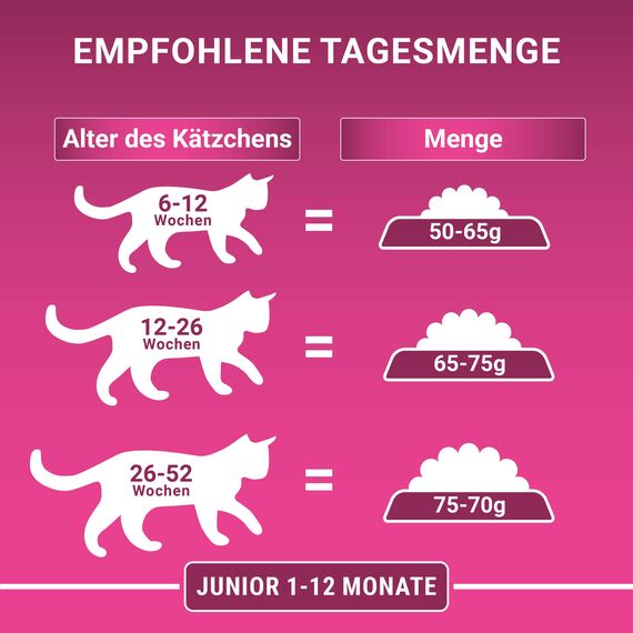 PURINA ONE BIFENSIS JUNIOR 1–12 Katzenfutter Kitten trocken, reich an Huhn, 6er Pack (6 x 750g)