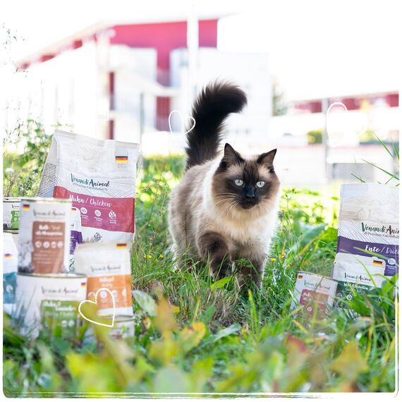 VenandiAnimal - Premium Trockenfutter für Katzen, Probierpaket 1, 6 x 0,3 kg (6er Pack), getreidefrei mit viel frischem Fleisch und Fisch