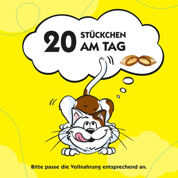 Dreamies Mix Katzensnacks mit Huhn & Ente – Außen knusprig & innen cremig – 6 x 60g (Packung mit 2)