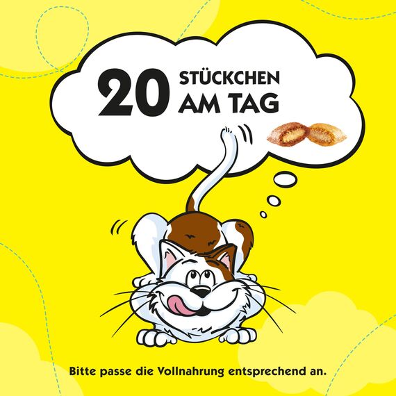 Dreamies Mix Katzensnacks mit Lachs & Käse – Außen knusprig & innen cremig – 6 x 60g (Packung mit 2)