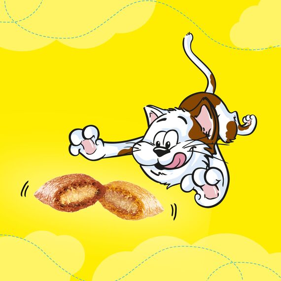 Dreamies Mix Katzensnacks mit Lachs & Käse – Außen knusprig & innen cremig – 6 x 60g (Packung mit 2)