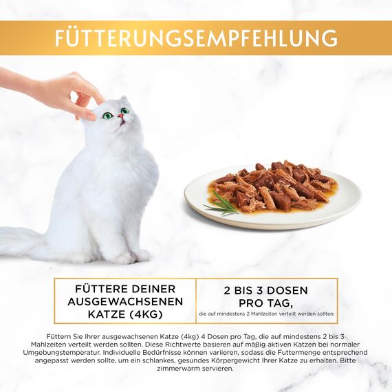 Gourmet Gold Feine Komposition Katzenfutter nass, Sorten-Mix, 12er Pack (12 x 4 Dosen à 85g)