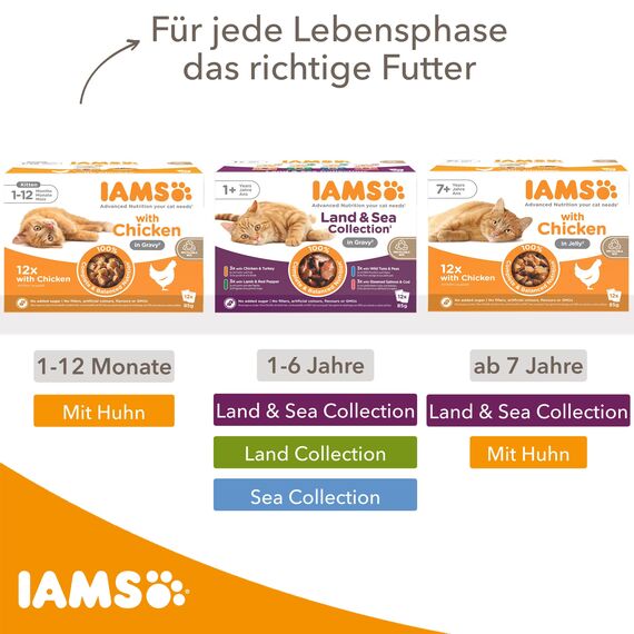 IAMS Delights Senior Katzenfutter Nass - Multipack mit Huhn und Fisch in Sauce, hochwertiges Nassfutter für ältere Katzen ab 7 Jahre, 12 x 85 g