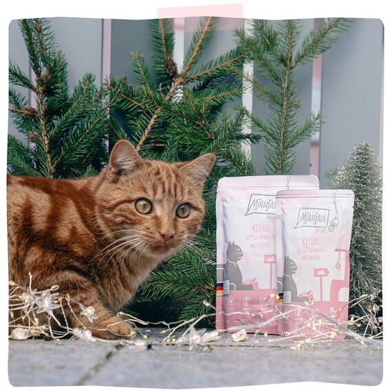 MjAMjAM - Premium Nassfutter für Katzen - Quetschie - Kitten saftiges Hühnchen mit Lachsöl, 12er Pack (12 x 125 g), getreidefrei mit extra viel Fleisch