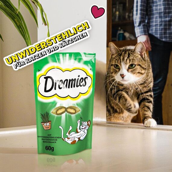 DREAMIES Katzensnacks - 6x60g - mit Katzenminze - Traumhaft knusprige Katzen Leckerlies mit zarter Füllung