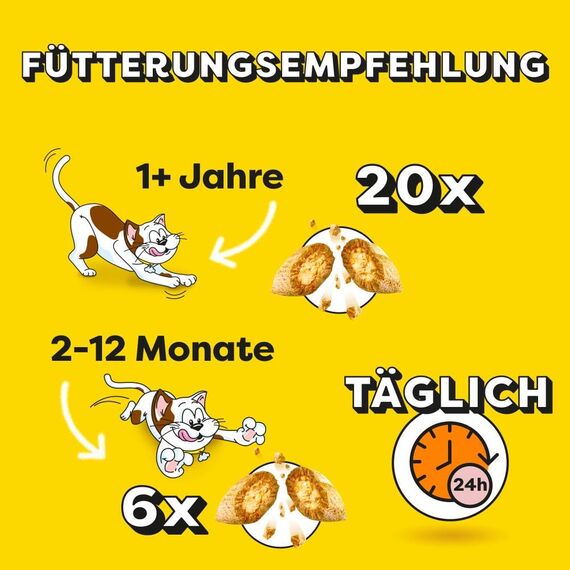 DREAMIES Katzensnacks - 6x60g - mit Pute - Traumhaft knusprige Katzen Leckerlies mit zarter Füllung