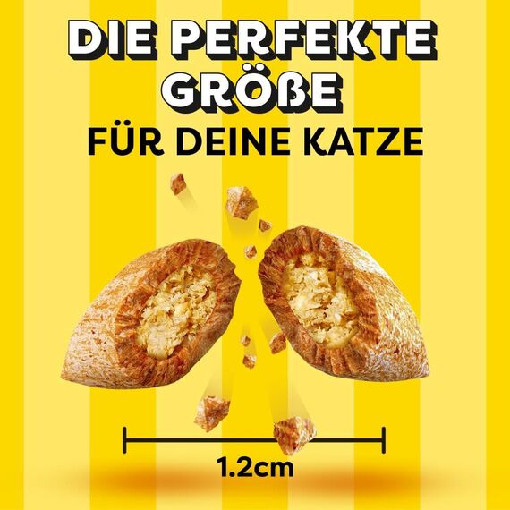 DREAMIES Katzensnacks - 12x60g - mit Huhn, Käse und Lachs - Traumhaft knusprige Katzen Leckerlies mit zarter Füllung - Variety Snack Box