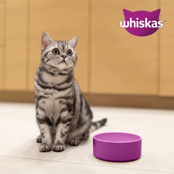 WHISKAS Trockenfutter für ausgewachsene Katzen 7kg mit Thunfisch