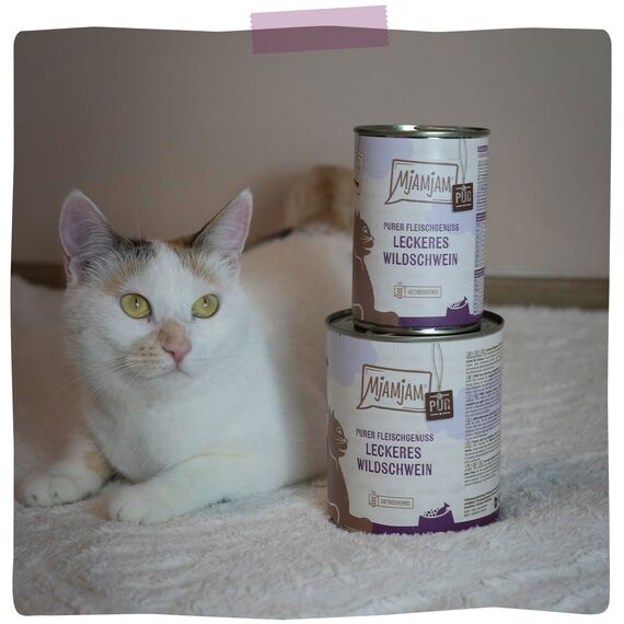 MjAMjAM - Premium Nassfutter für Katzen - Purer Fleischgenuss - leckeres Wildschwein pur, 6er Pack (6x400g), getreidefrei