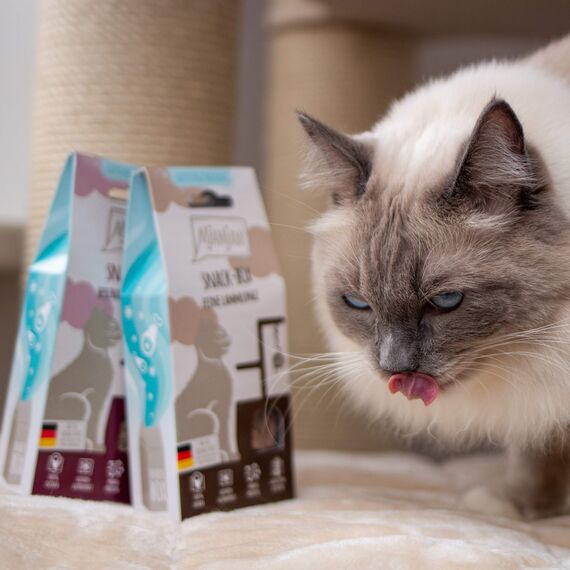 MjAMjAM - Premium Katzensnack - Snackbox - herzhaftes Wildfilet, 1er Pack (1 x 35 g), naturbelassen ganz ohne synthetische Konservierungsstoffe