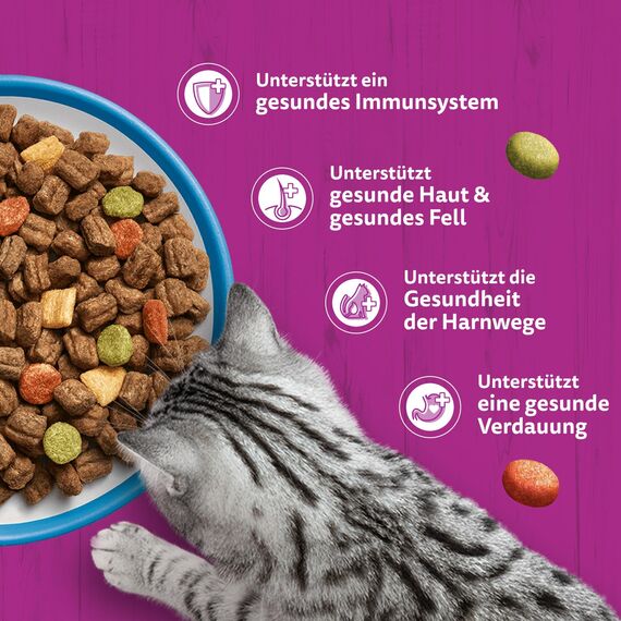 WHISKAS Trockenfutter für ausgewachsene Katzen 7kg mit Thunfisch