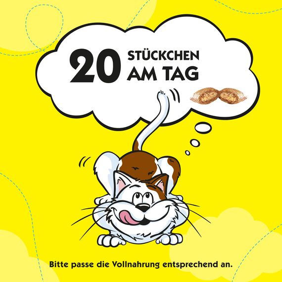 DREAMIES Katzensnacks - 6x60g - mit Pute - Traumhaft knusprige Katzen Leckerlies mit zarter Füllung (Packung mit 2)