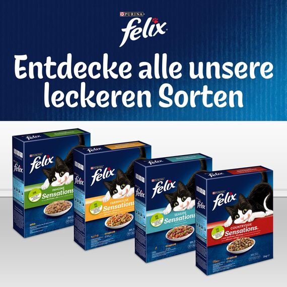 FELIX Farmhouse Sensations Katzenfutter trocken, mit Huhn und Truthahn, 2er Pack (1 x 1kg)