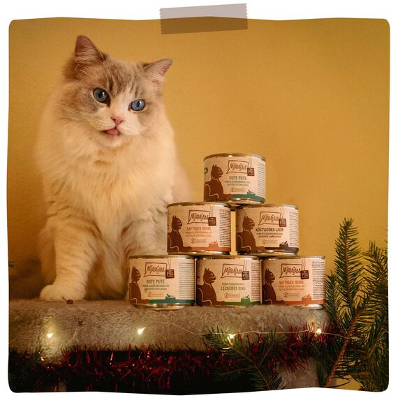 MjAMjAM - Premium Nassfutter für Katzen - purer Fleischgenuss - köstliches Lamm pur, 6er Pack (6 x 200 g), getreidefrei mit extra viel Fleisch