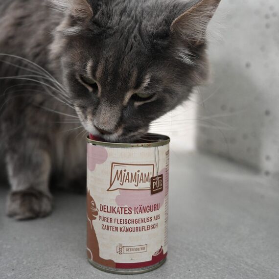 MjAMjAM - Premium Nassfutter für Katzen - purer Fleischgenuss - köstliches Pferd pur, 6er Pack (6 x 200 g), getreidefrei mit extra viel Fleisch