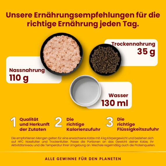 Almo Nature HFC Jelly - Nassfutter für ausgewachsene Katzen - Lachs & Huhn - Human Grade, Glutenfrei - 6 x 70g
