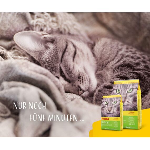 JOSERA SensiCat (1 x 400 g) | Adult | Premium Trockenfutter für ausgewachsene empfindliche Katzen | Geflügel & Reis | extra verträgliche Rezeptur | weizenfrei | Katzenfutter | 1er Pack